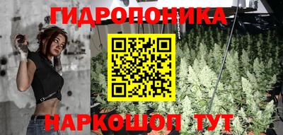 эйфоретик Кингисепп