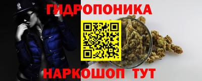 эйфоретик Кингисепп