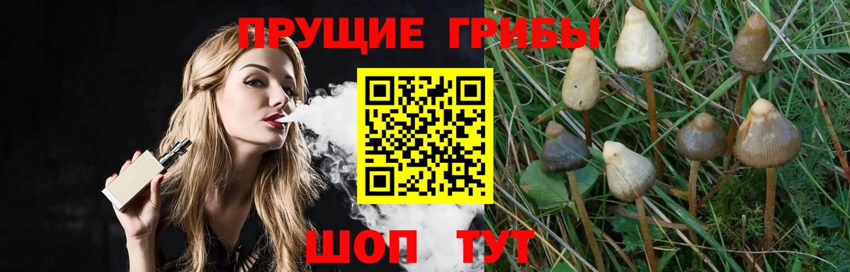 Первоуральск  где можно купить   Галлюциногенные грибы MAGIC MUSHROOMS  Вход с VPN  Галлюциногенные грибы GOLDEN TEACHER 